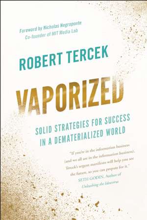 Vaporized: Solid Strategies for Success in a Dematerialized World de Robert Tercek