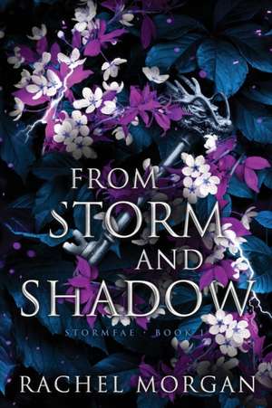 From Storm and Shadow de Rachel Morgan