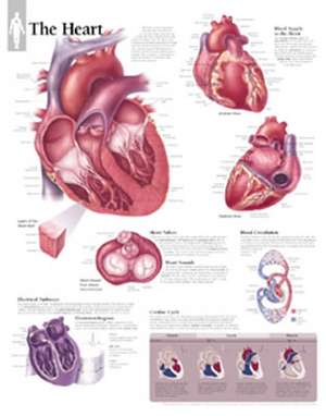 The Heart Chart: Laminated Wall Chart de Scientific Publishing