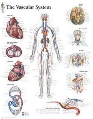 Vascular System Paper Poster de Scientific Publishing