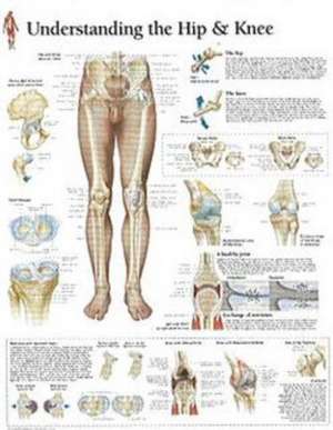 Understanding the Hip & Knee Chart: Laminated Wall Chart de various