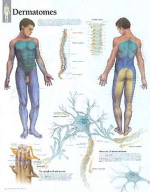 Dermatones de Scientific Publishing