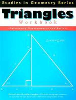 Triangles Workbook de Tammy Pelli Leonard