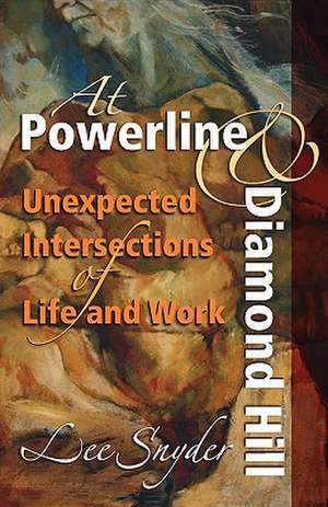 At Powerline and Diamond Hill: Unexpected Intersections of Life and Work de Lee Snyder