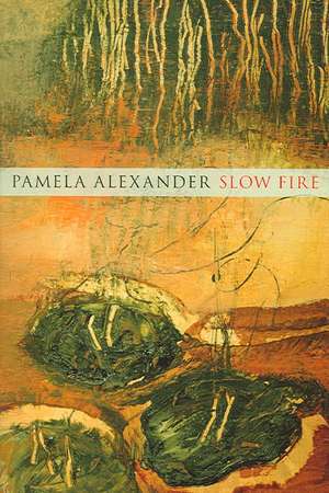 Slow Fire de Pamela Alexander