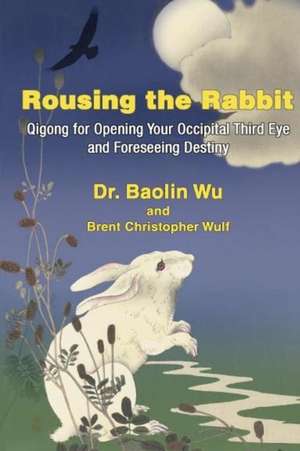 Rousing the Rabbit de Wu Baolin