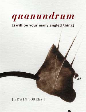 Quanundrum: [I Will Be Your Many Angled Thing] de Edwin Torres