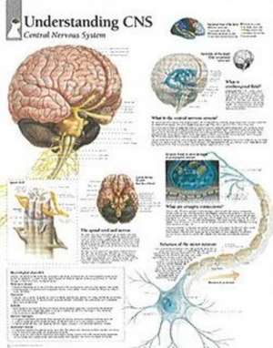 Understanding CNS Chart: Laminated Wall Chart de various