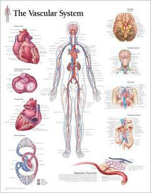 The Pulmonary System Chart: Wall Chart de various