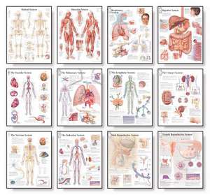 Body Systems Chart Set de Scientific Publishing