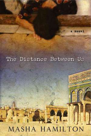 The Distance Between Us: The Half Life of Gregor Samsa de Masha Hamilton