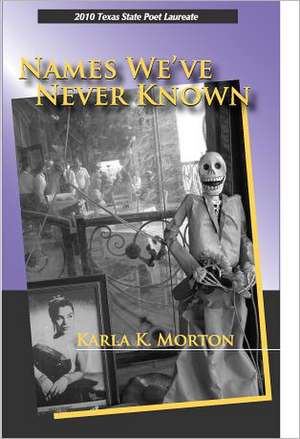 Names We've Never Known de Karla K. Morton