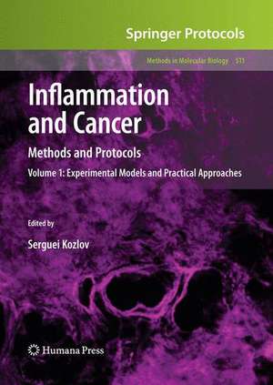 Inflammation and Cancer: Methods and Protocols: Volume 1, Experimental Models and Practical Approaches de Serguei V. Kozlov