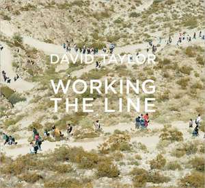 DAVID TAYLOR WORKING LINE