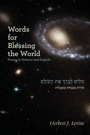 Words for Blessing the World de Herbert J Levine