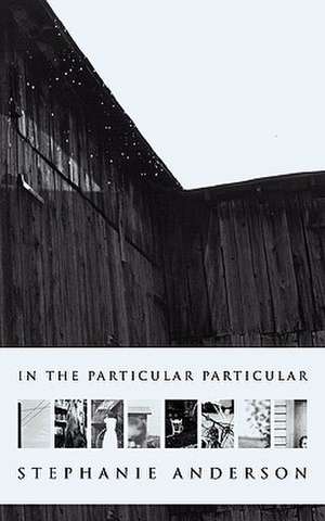 In the Particular Particular de Stephanie Anderson