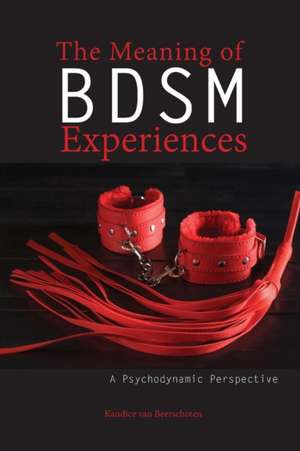 The Meaning of BDSM Experiences de Kandice van Beerschoten