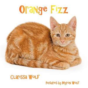 Orange Fizz de Clarissa Wolf