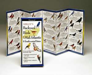 Sibley's Back. Birds of Midatl. & S.C. States: The Key to Creating Your Reality de David Sibley