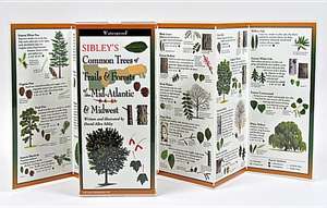 Sibley's Common Trees of Trails & Forests of the Mid-Atlantic & Midwest de David Sibley