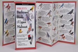 Sibley's Backyard Birds of the Upper Midwest de David Allen Sibley