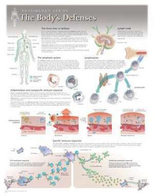 The Body's Defences Wall Chart: 8240 de Scientific Publishing