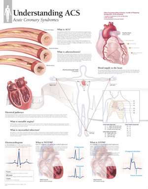 Understanding Acs Wall Chart: 8650 de Scientific Publishing