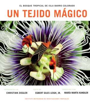 Un Tejido Magico: El Bosque Tropical de La Isla de Barro Colorado (Spanish Edition) de Jr. Leigh, Egbert Giles