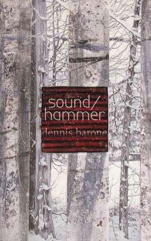 Sound/Hammer de Dennis Barone