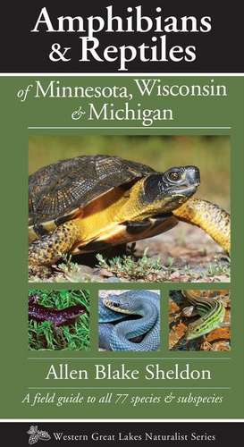 Amphibians & Reptiles of Minnesota, Wisconsin & Michigan: A Field Guide to All 77 Species & Subspecies de Allen Blake Sheldon