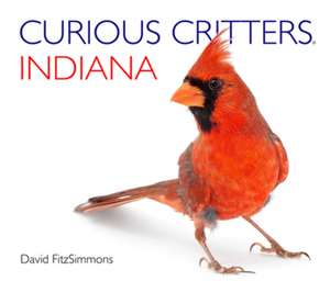 Curious Critters Indiana de David FitzSimmons