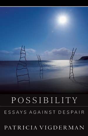 Possibility: Essays Against Despair de Patricia Vigderman