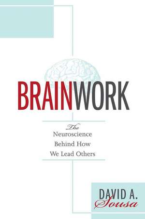 Brainwork de David A Sousa