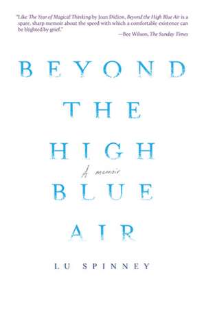 Beyond the High Blue Air de Lu Spinney