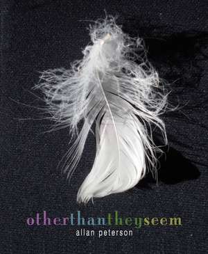 Other Than They Seem de Allan Peterson