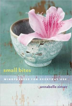 Small Bites: Mindfulness for Everyday Use de Annabelle Zinser