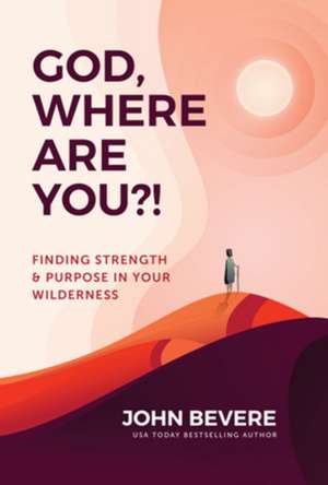 God, Where Are You?! de John Bevere