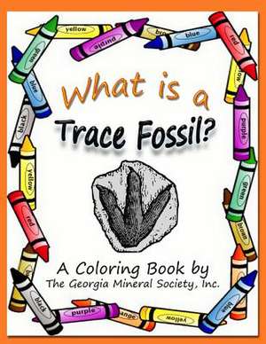 What Is a Trace Fossil?