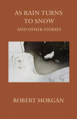 As Rain Turns to Snow and Other Stories de Robert Morgan