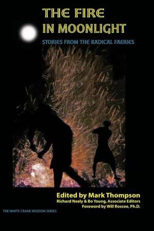 The Fire in Moonlight: Stories from the Radical Faeries 1971 - 2010 de Mark Thompson