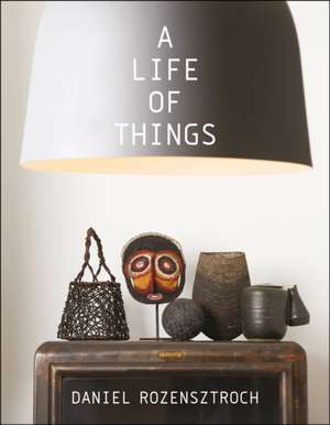 A Life of Things de Daniel Rozensztroch