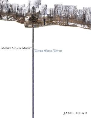 Money Money Money Water Water Water: A Trilogy de Jane Mead