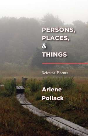 Persons, Places, & Things: Selected Poems de Arlene Pollack