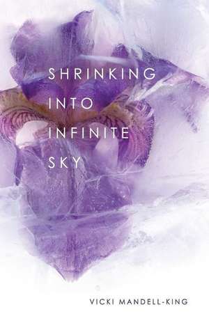 Shrinking Into Infinite Sky de Vicki Mandell-King