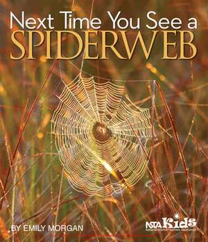 Next Time You See a Spiderweb de Emily Morgan