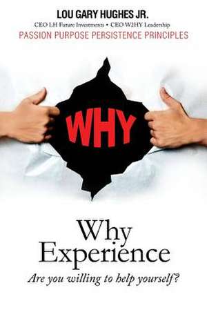 Why Experience de Lou Gary Hughes