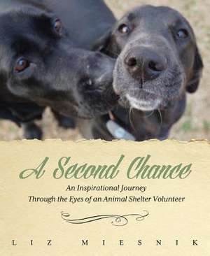 A Second Chance de Liz Miesnik