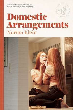 Domestic Arrangements de Norma Klein