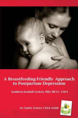 Breastfeeding Friendly Approach to Postpartum Depression: A Resource Guide for Health Care Providers de Kathleen A. Kendall-Tackett