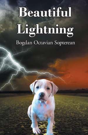 Beautiful Lightning de Bogdan Octavian Sopterean